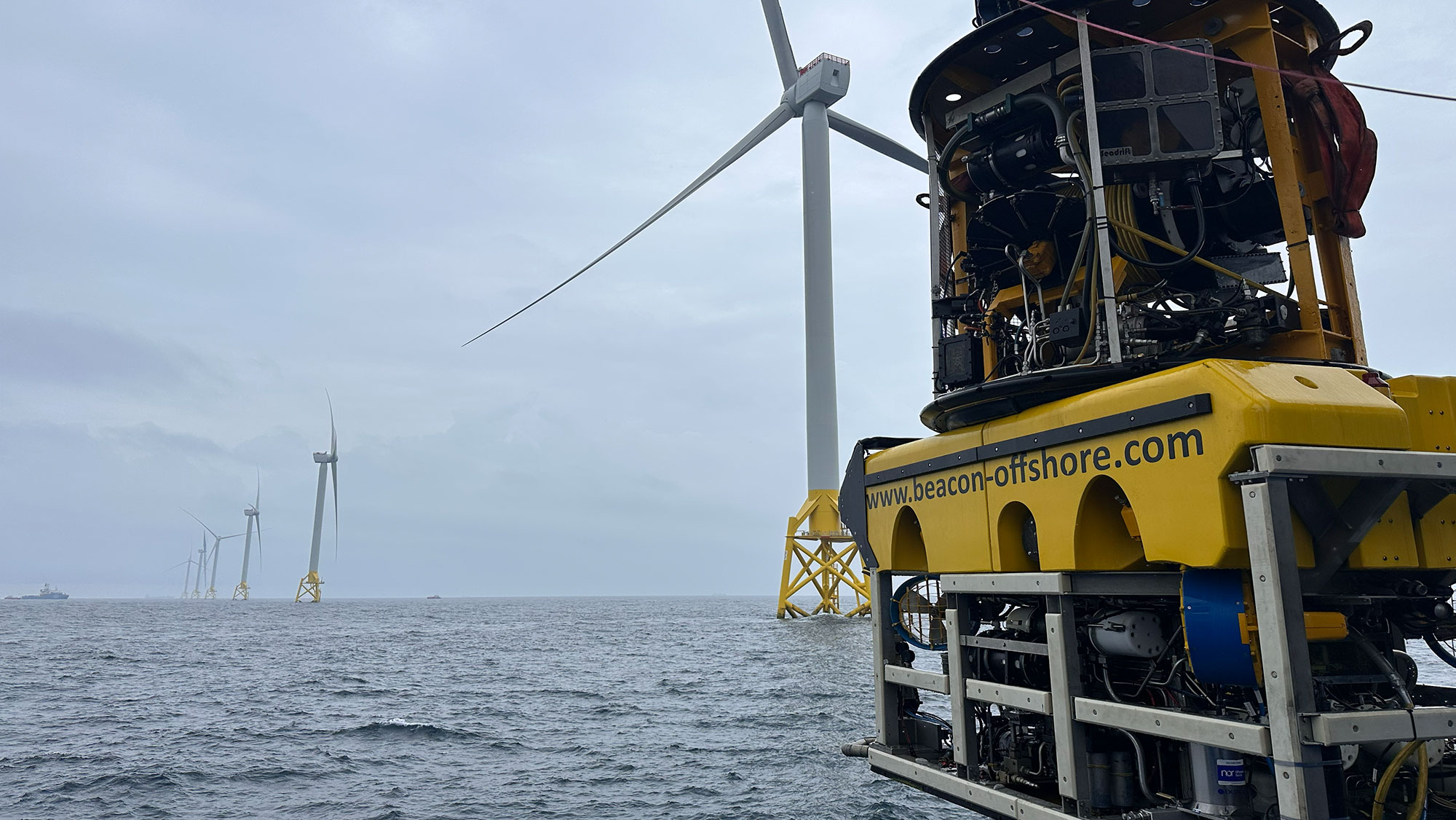 ROV XLS29